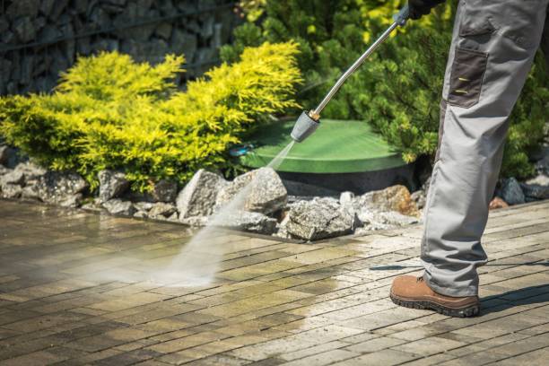 Best Solar Panel Cleaning  in Neshanic Station, NJ