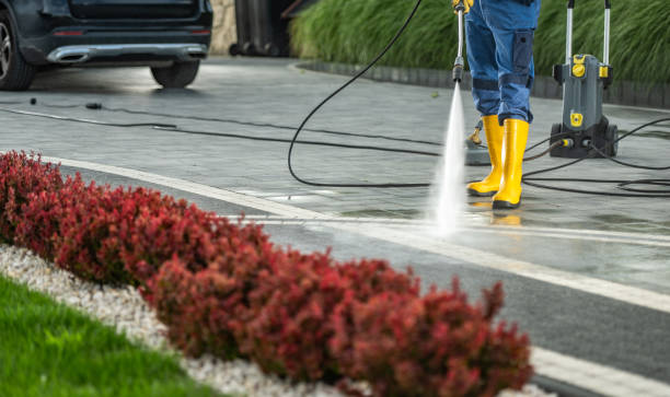 Best Roof Washing  in Neshanic Station, NJ