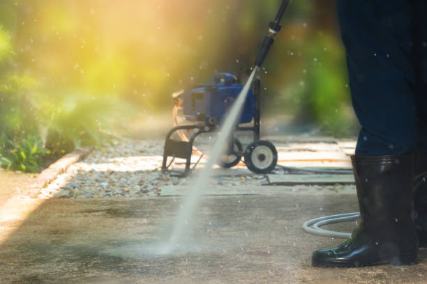 Best Driveway Pressure Washing  in Neshanic Station, NJ